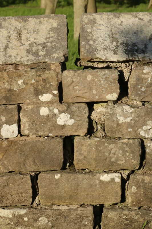 Stone Wall Repair in Deer Park, TX